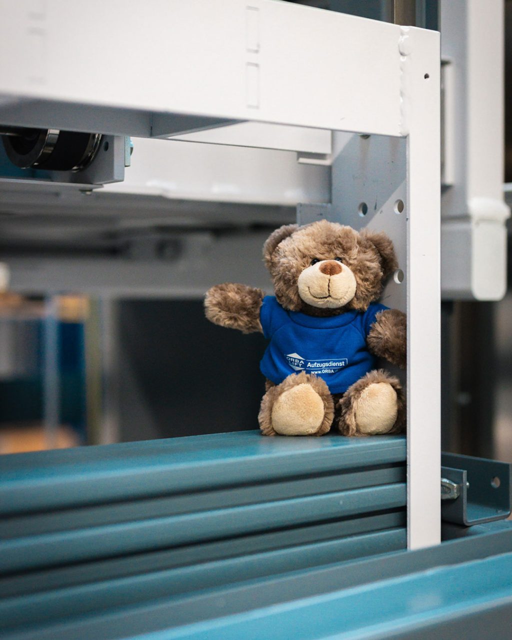 Bär Brummi im neuen Homelift