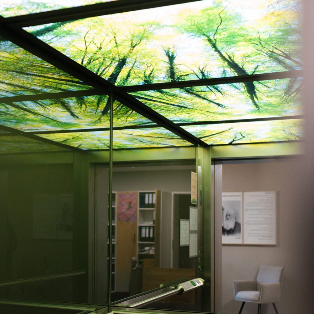 Blick aus einer Ecke des Aufzugs. Die verspiegelten Seitenwände erzeugen eine unendliche Reflexion der beleuchteten Wald-Decke. Durch die geöffnete Tür sieht man ein angrenzendes Büro mit Aktenschränken sowie den Wartebereich mit der Keffel-Infotafel und einem Sessel.