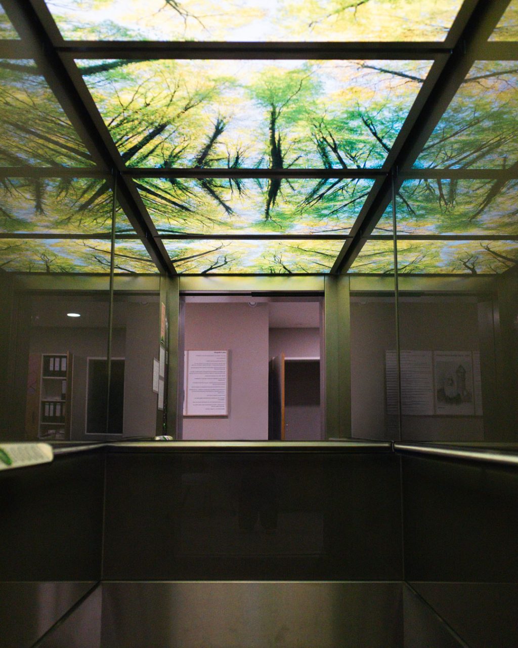 Symmetrische Innenansicht aus dem hinteren Teil des Aufzugs mit Blick nach vorne. Die Decke mit dem dichten, grünen Blätterdach erhellt die gesamte Kabine, deren dunkle Wände die Szenerie spiegeln und den Blick direkt auf die geöffnete Etagentür lenken.