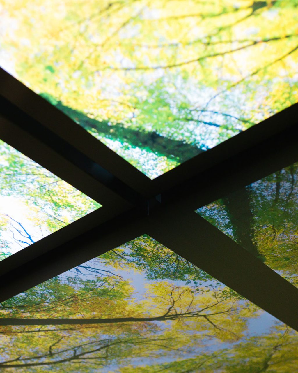 Abstrakte Detailaufnahme der Aufzugsdecke, bei der die dunklen Querstreben der Konstruktion ein markantes Kreuz bilden. In den einzelnen Feldern blickt man auf die hell erleuchtete Fotografie von grünen und gelblichen Baumkronen gegen einen hellen Himmel.