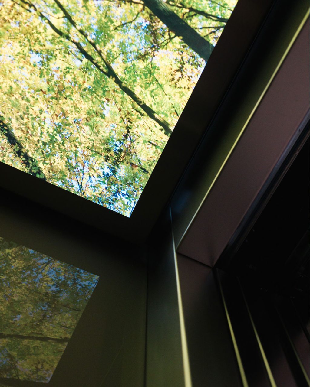 Eine kreative Perspektive aus dem Aufzug heraus, die das Zusammenspiel der Edelstahlverkleidung der Tür mit der leuchtenden Wald-Decke und deren Spiegelung auf den glänzenden Wandflächen zeigt.