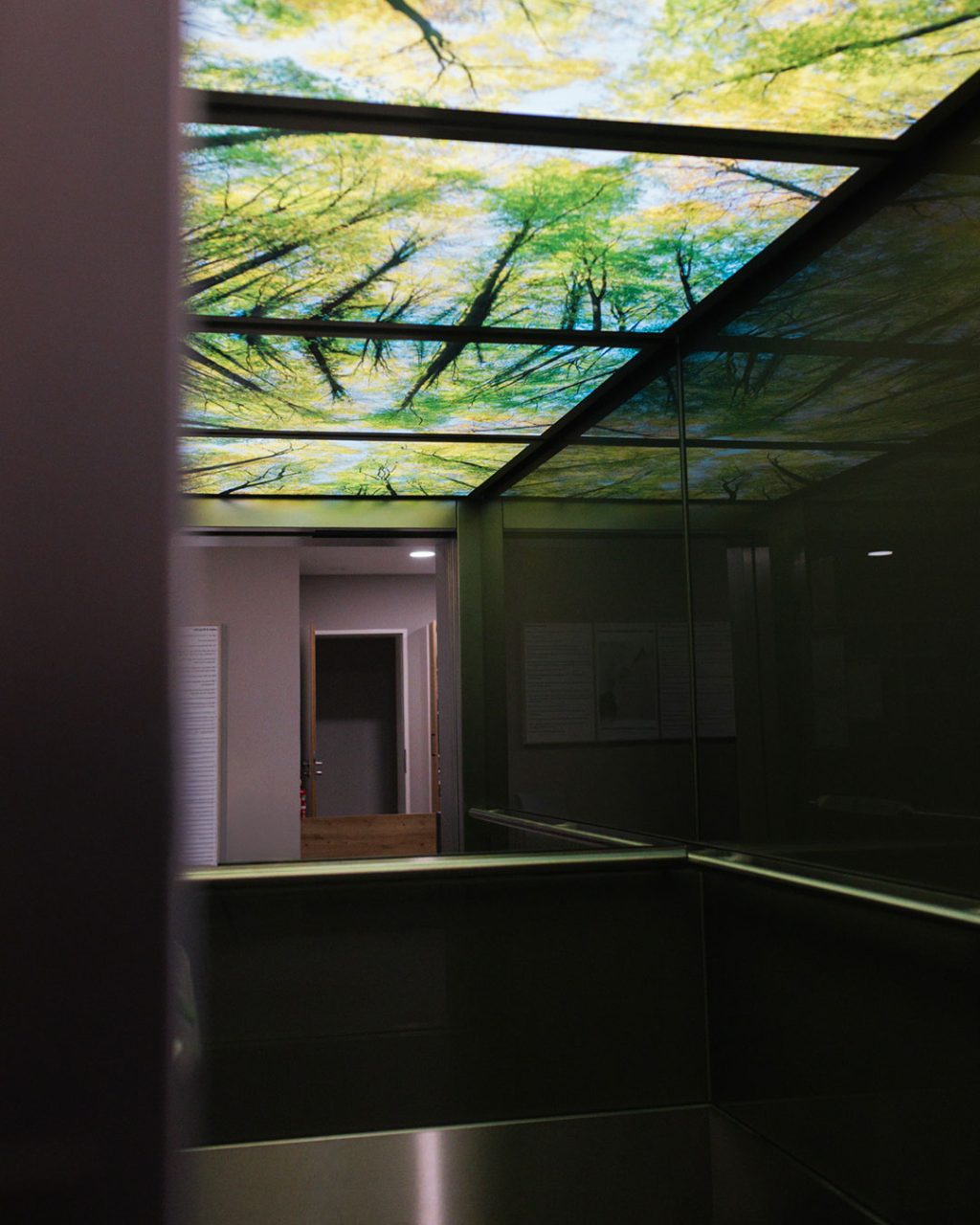 Blick aus dem hinteren Teil des geräumigen Aufzugs durch die geöffnete Tür auf den Flur. Die beleuchtete Decke mit dem Waldmotiv spiegelt sich ästhetisch in den dunklen, glatten Seitenwänden der Kabine wider.